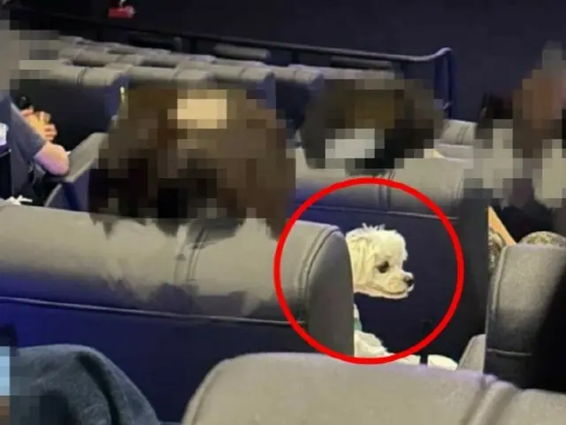 映画館で犬を抱く客が物議を醸す…世界初のペット同伴映画館、過去に韓国にあった