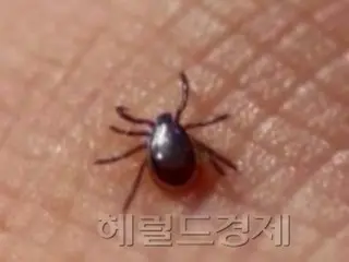 死者406人の「殺人ダニ」被害に、政府は “傍観”＝韓国