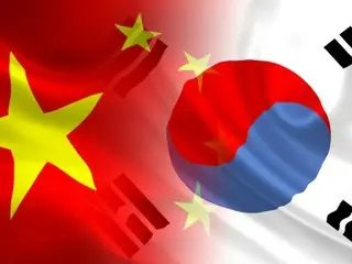 中国人にも中国の免許で韓国国内での運転を認めることを検討中＝韓国報道