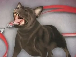 「放し飼いの猛犬」が通行人の性器を噛みつくなど血まみれに…飼い主は？＝韓国
