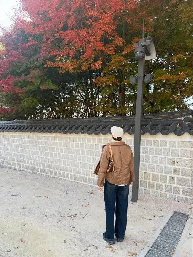 “乳がん闘病中→最近番組復帰”パク・ミソン、「生きながらこんな余裕を享受」…秋の紅葉スポットを巡りつづった“幸福感”