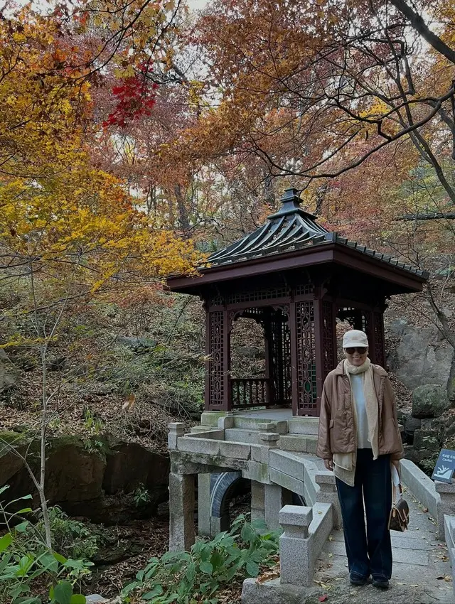 “乳がん闘病中→最近番組復帰”パク・ミソン、「生きながらこんな余裕を享受」…秋の紅葉スポットを巡りつづった“幸福感”