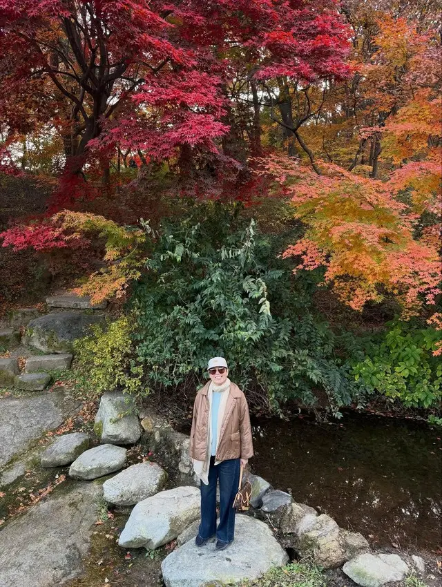 “乳がん闘病中→最近番組復帰”パク・ミソン、「生きながらこんな余裕を享受」…秋の紅葉スポットを巡りつづった“幸福感”