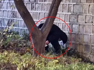 外国人による迷惑行為…今度は光化門で「半裸ランニング」＝韓国