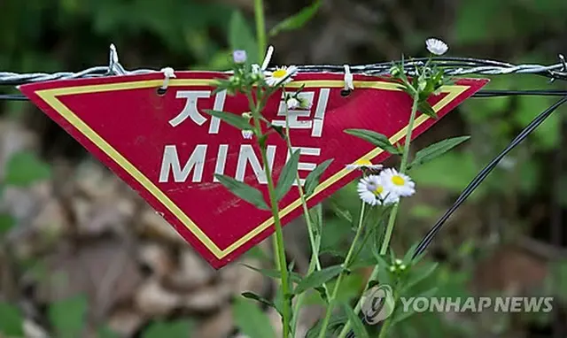 非武装地帯（ＤＭＺ）にある地雷の位置を示す標識（資料写真）＝（聯合ニュース）