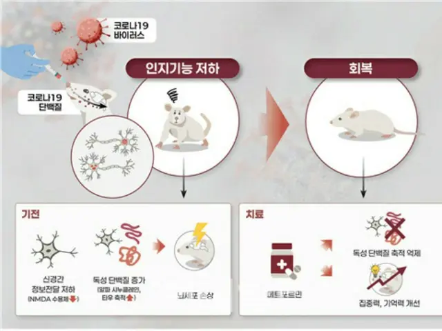 「コロナ後から物忘れがひどい…その理由が明らかに」＝韓国報道