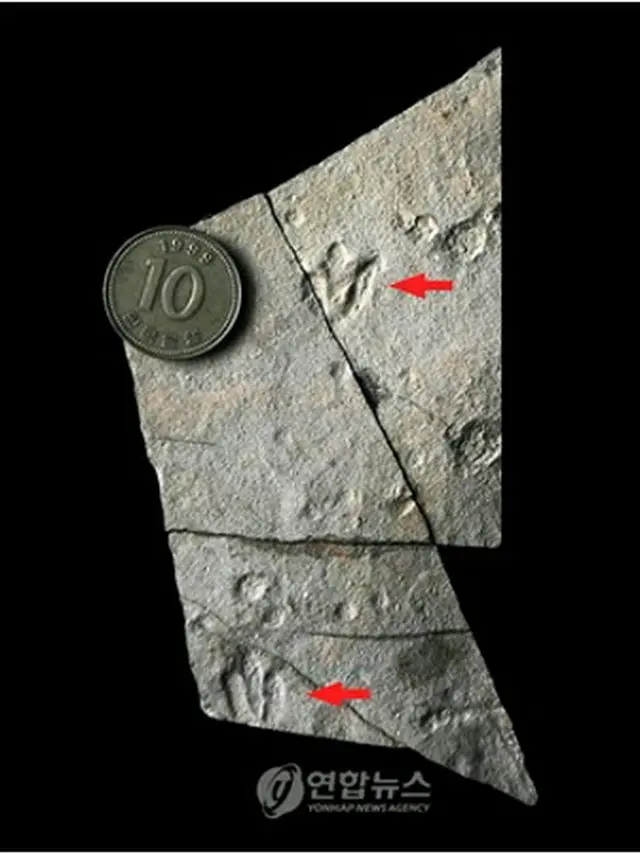 発見された赤ちゃん恐竜の足跡の化石（文化財庁提供）＝12日、ソウル（聯合ニュース）