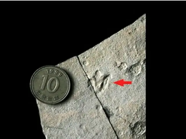 発見された赤ちゃん恐竜の足跡の化石（文化財庁提供）＝12日、ソウル（聯合ニュース）