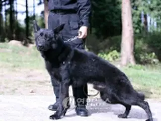 黄禹錫博士チーム、警察探知犬のクローン化推進