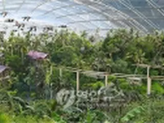 ソウル大公園、新概念テーマパークにリニューアルへ