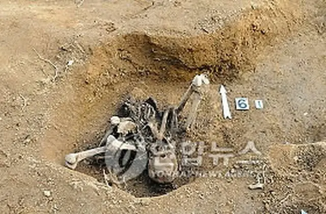 昨年、北海道で発見された韓国人労務者の遺骨（提供写真）＝（聯合ニュース）