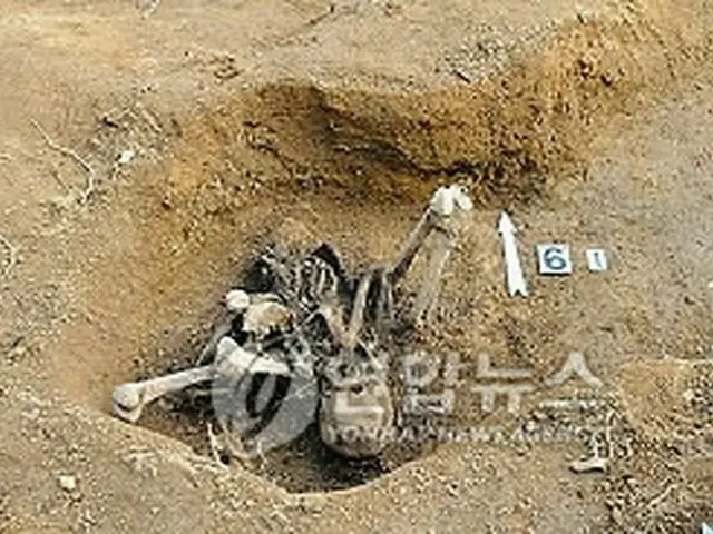 昨年、北海道で発見された韓国人労務者の遺骨（提供写真）＝（聯合ニュース）