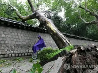 台風7号で3人死亡、交通まひ・財産被害続出