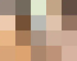 ＜釜山国際映画祭＞開幕式　女優陣のセクシーな後姿