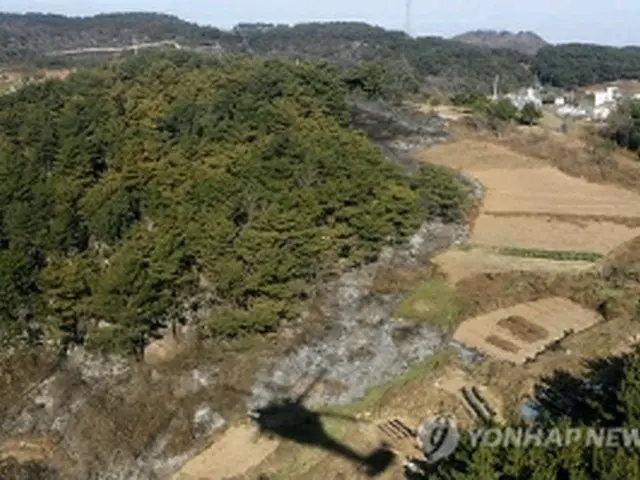 山火事で焼失した森＝２４日、延坪島（聯合ニュース）