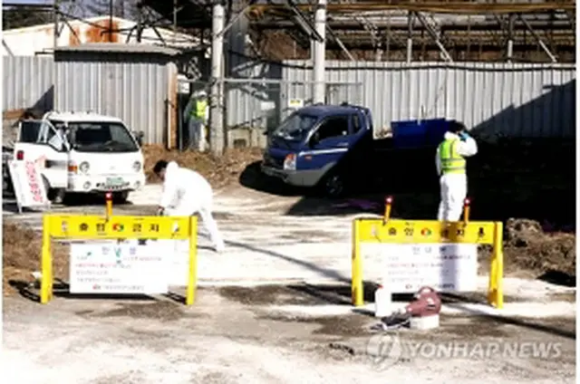 安東では防疫措置が進められている＝３０日、安東（聯合ニュース）