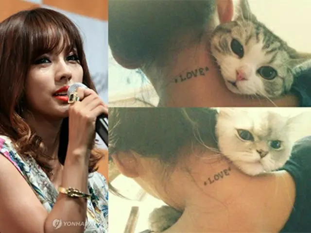 イ・ヒョリと猫の写真＝写真出処:イ・ヒョリTwitterより