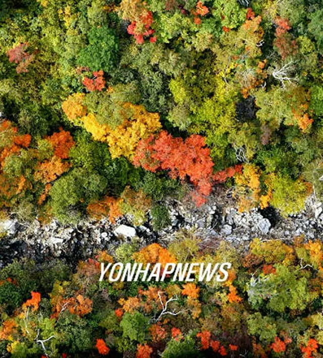 雪岳山の渓谷＝21日、束草（聯合）
