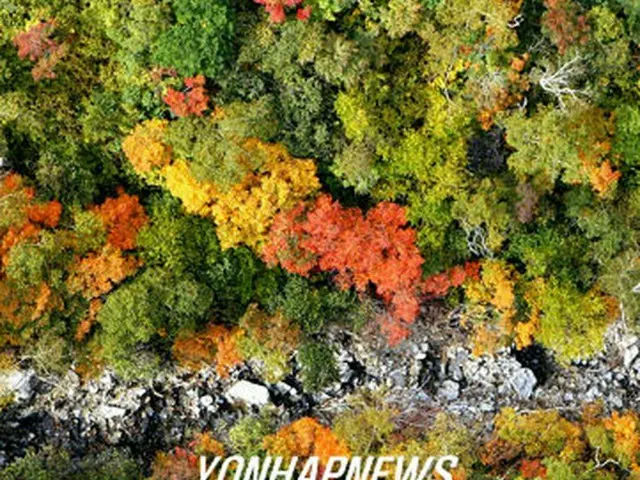 雪岳山の渓谷＝21日、束草（聯合）
