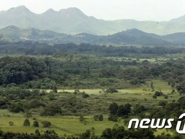4日午前7時40分ごろ、韓国・非武装地帯（DMZ）で地雷爆発。軍曹2人が足切断（資料画像:news1）