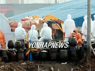 牙山の鳥インフルエンザ発生地域、殺処分が終了