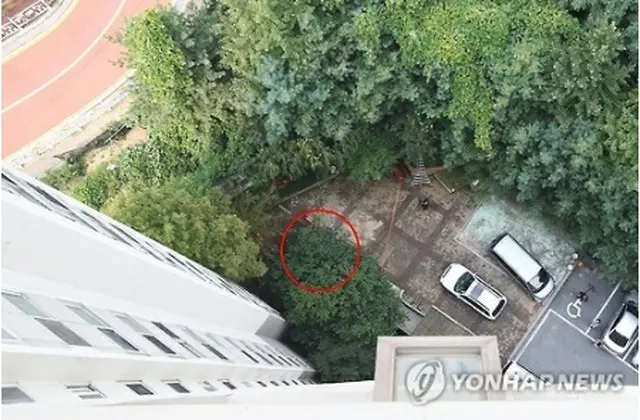 屋上から見た事件現場の様子＝１６日、竜仁（聯合ニュース）