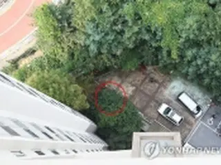 落下したれんがに当たり死亡　犯人は小学生＝韓国社会に衝撃
