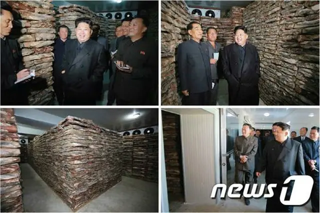 北朝鮮の金正恩（キム・ジョンウン）第1書記が、現代化設備を新たに持つ平壌ナマズ工場を視察したと、31日に朝鮮中央通信が報じた。（提供:news1）
