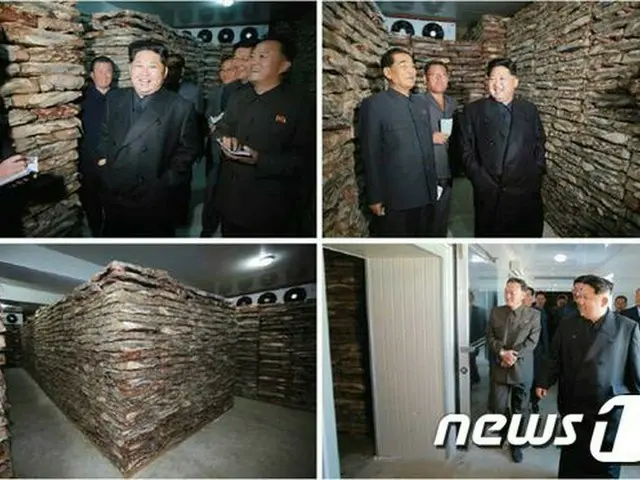 北朝鮮の金正恩（キム・ジョンウン）第1書記が、現代化設備を新たに持つ平壌ナマズ工場を視察したと、31日に朝鮮中央通信が報じた。（提供:news1）