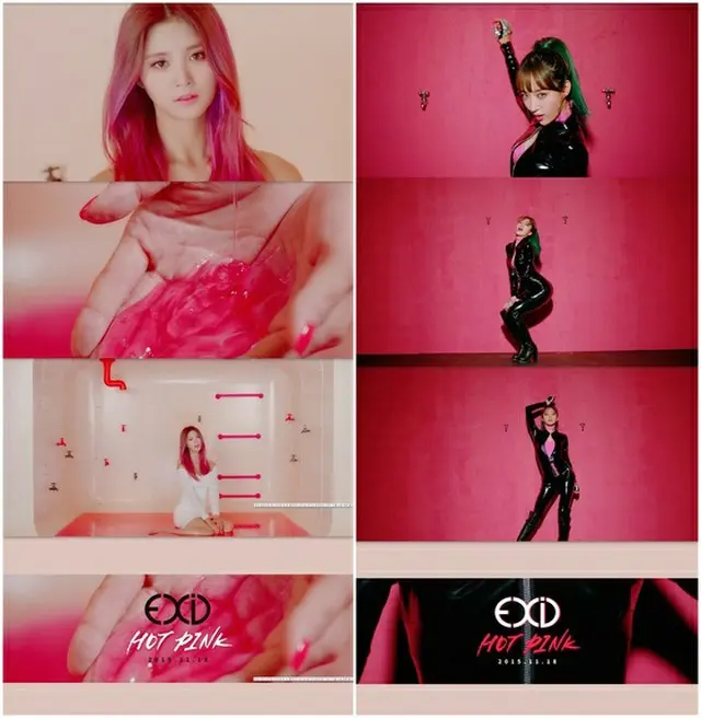 韓国ガールズグループ「EXID」が正反対のピンクの魅力で新曲への関心を仰いでいる。（提供:news1）