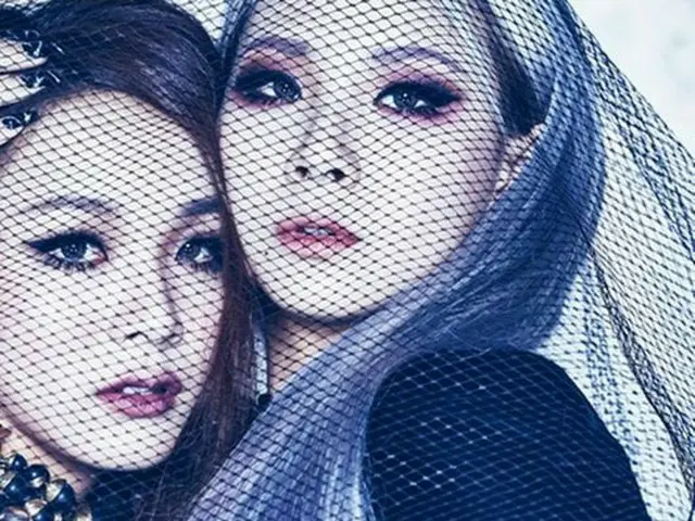 韓国ガールグループ「2NE1」CLと彼女の妹ハリンが一緒に作業したグラビアが公開された。（提供:OSEN）