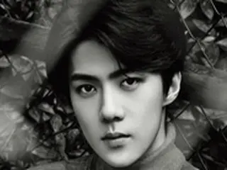 「EXO」SEHUN（セフン）、韓中合作映画「キャッツマン」主演に確定
