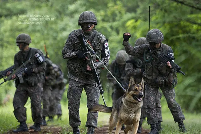 第3師団がよく行なっている「捜索・偵察」訓練（写真/韓国陸軍公式サイトより）