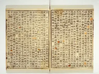 ＜Wコラム＞朝鮮王朝おもしろ人物列伝（チャングム編）～中宗に関わりを持つ医女・チャングム