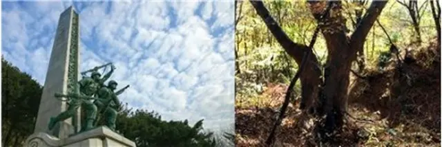 仁川上陸作戦記念館（左）と平和の木＝（聯合ニュース）