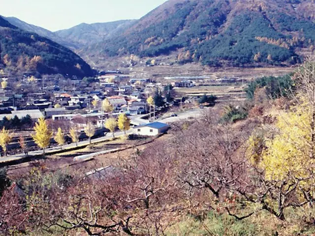 友鹿里の風景