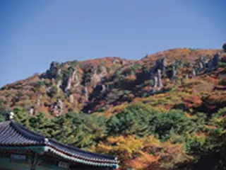 ＜Wコラム＞追憶の中の韓国紅葉紀行～南海の孤島で紅葉を楽しむ