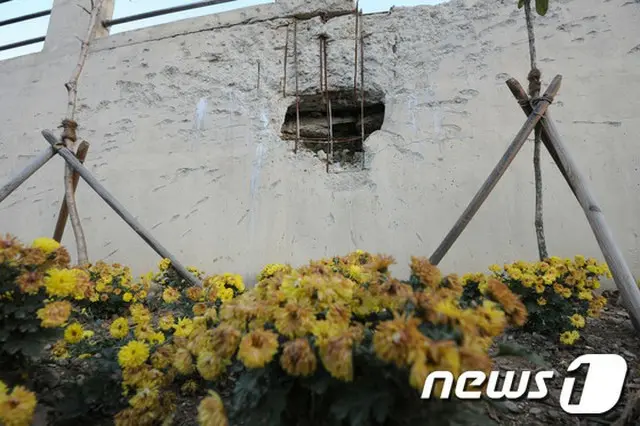 海兵隊、23日に延坪島砲撃事件6周忌行事開催＝韓国（提供:news1）