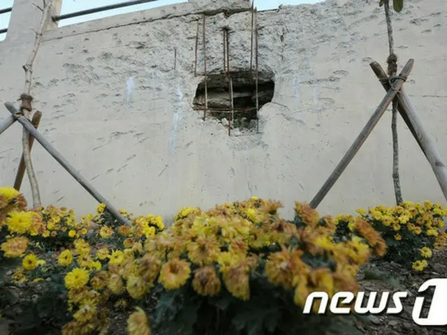 海兵隊、23日に延坪島砲撃事件6周忌行事開催＝韓国（提供:news1）