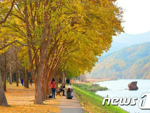 ＜Wコラム＞ことわざから見る韓国人3・底抜けに楽天的、あなたは本当に「韓国」を知っている？（参考画像/画像提供:news1）