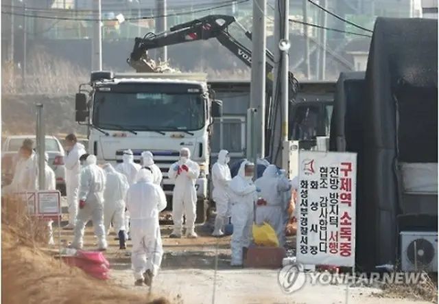 殺処分作業が行われるソウル近郊の農家＝３日、華城（聯合ニュース）