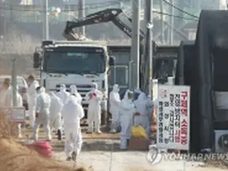 ［写真］史上最悪の鳥インフル被害　韓国の殺処分３千万羽超