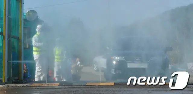 済州でも鳥インフルの疑い…”清浄地域”にも拡大か＝韓国