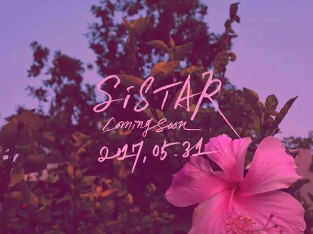 「SISTAR」、30日に”完全体”でカムバックへ（提供:news1）