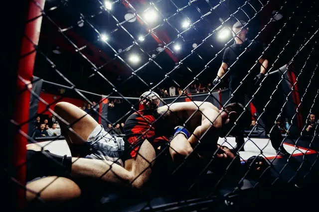 来る9月、日本でUFC（米国の総合格闘技団体）大会が開催される。（画像提供:wowkorea.jp）