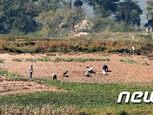 北朝鮮の脱北者家族が当局の処罰を避けるため、脱出者を死亡処理するなどの“身分洗濯”を試みていることが2日、分かった。