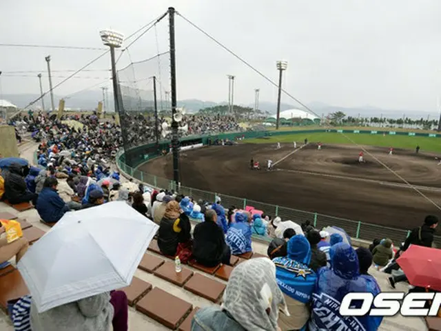 日本で韓国プロ野球選手の性的暴行問題が起こり波紋を広げている。