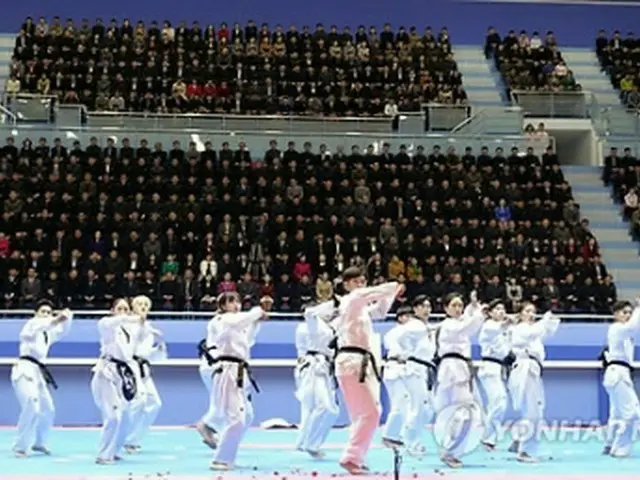 技を披露する韓国のテコンドー演武団＝１日、平壌（聯合ニュース）