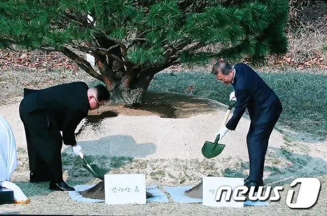 ＜南北首脳会談＞両首脳、午後の日程「記念植樹」＝松の木に”平和の願い”込める