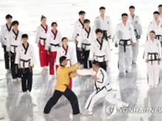 南北テコンドー演武団のバチカン合同公演　北朝鮮不参加で実現せず